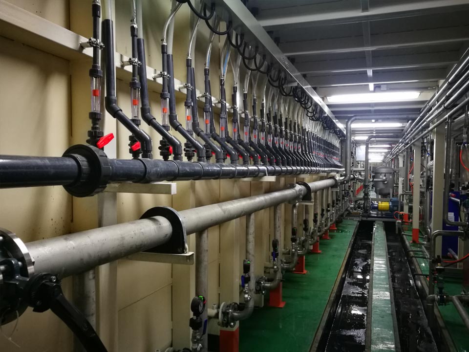 典型電泳線(xiàn)