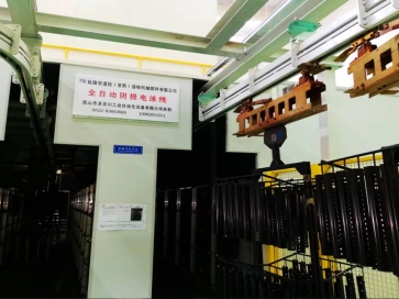 典型電泳線(xiàn)