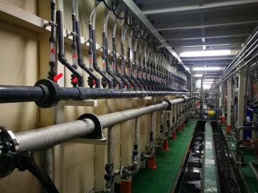 典型電泳線(xiàn)